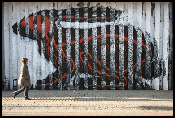 Rabbit2