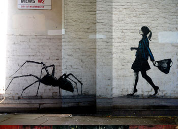 Insect5