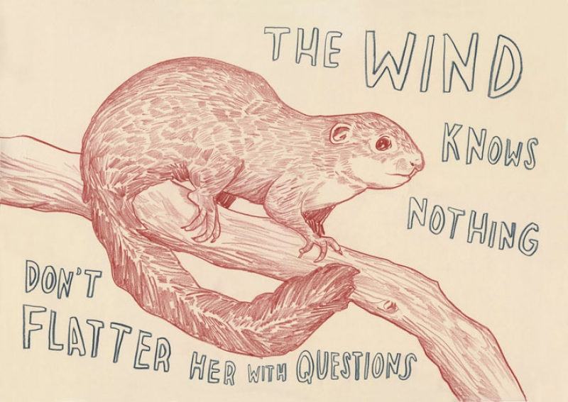 TheWindKnowsNothing_web