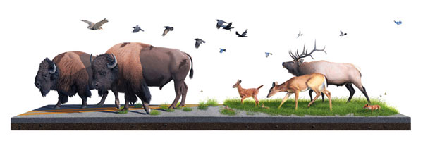 joshkeyes3