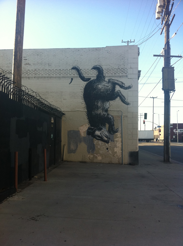 Roa2