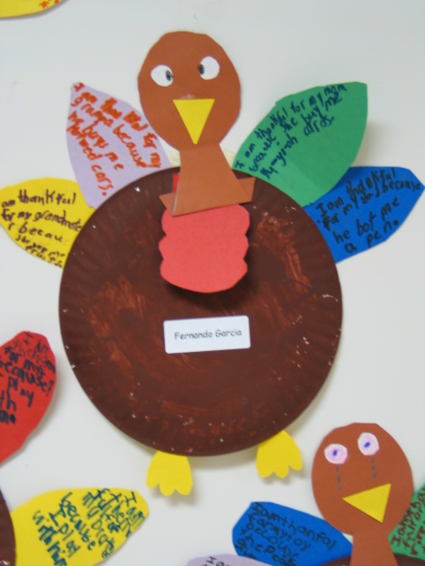 turkeys2