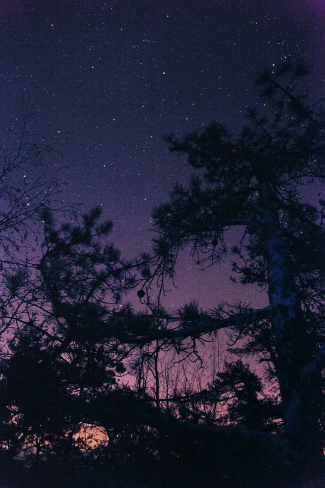 ryan_mcginley_knotty_pine_2011