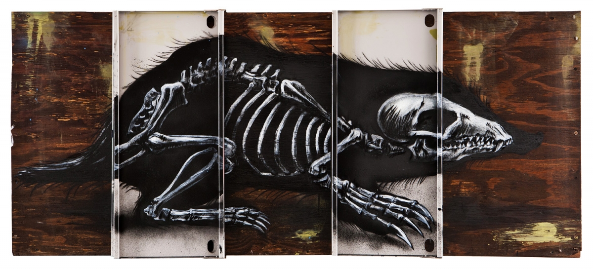 roa-5b