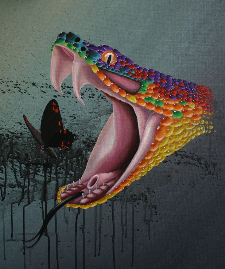 Jelly-Bean-Viper-detail-24x48