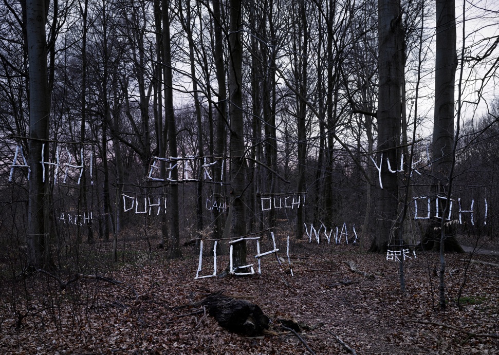 complaining_forest-1