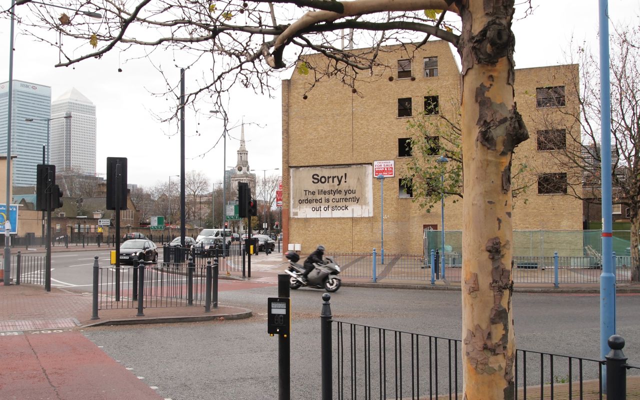poplar_02