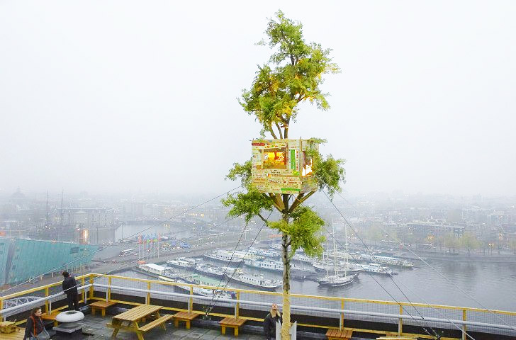 treehouse-on-a-rooftop-1