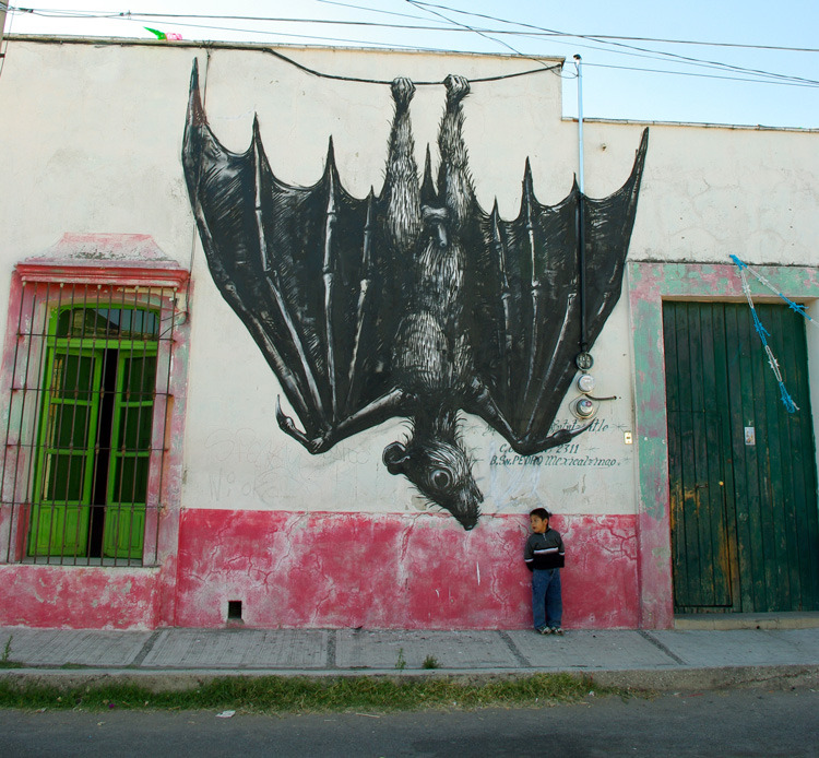 ROA-Cholula-IMGP7949_u_1000