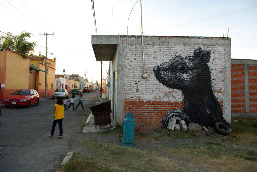 ROA-Cholula-IMGP7972_u_1000