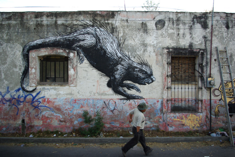 ROA-Cholula-porcupine-thx-christian-from-Milamores-IMGP7825_u_1000