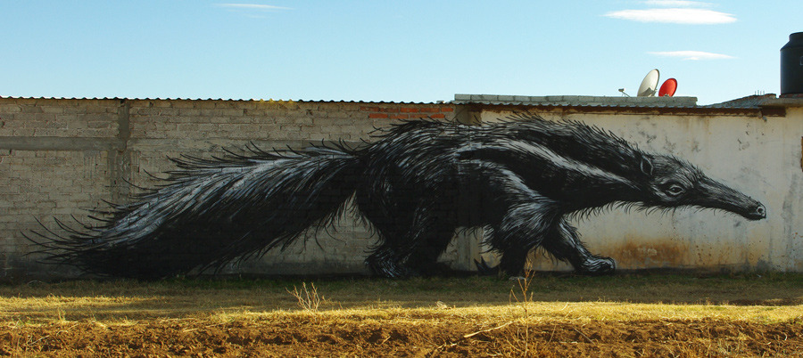 ROA-Jamaica-Guanajuato-san-Miguel-de-Allende-IMGP7471_u_1000