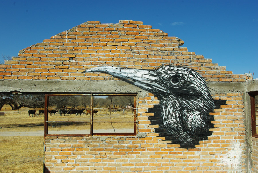 ROA-S-Miguel-de-Allende-IMGP7712_u_1000