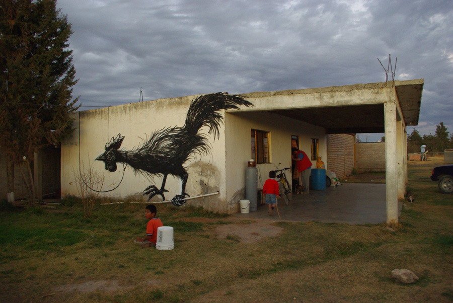 ROA-San-Miguel-de-Allende-IMGP7595_u_1000