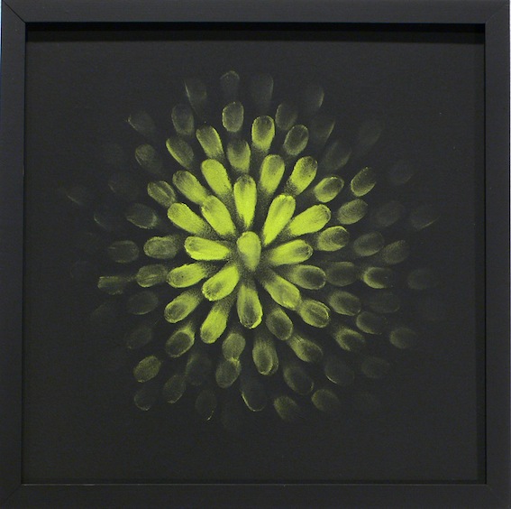 lime-1-web_163_orig
