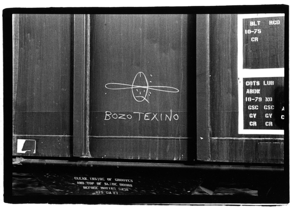 BozeTexino
