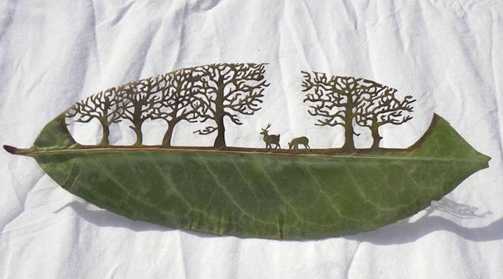 leafartcut_02