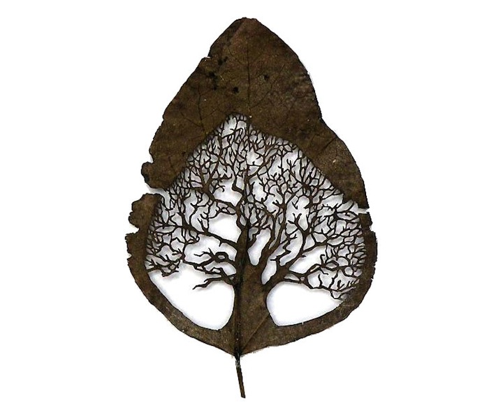 leafartcut_03