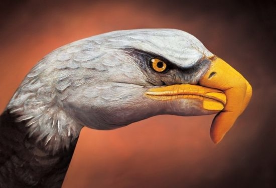 guido-daniel-handpaint-1550x375