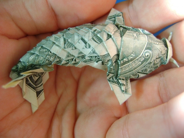 koi-600x450