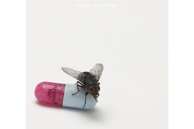 damien-hirst-red-hot-chili-peppers-album-cover