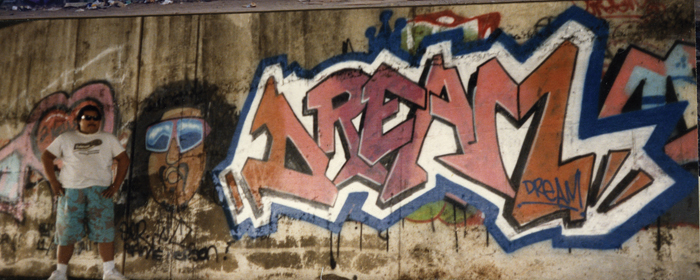 DREAM_12_RISK