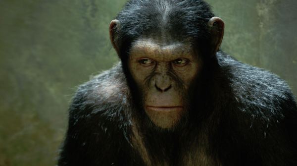 rise-of-the-planet-of-the-apes_still11