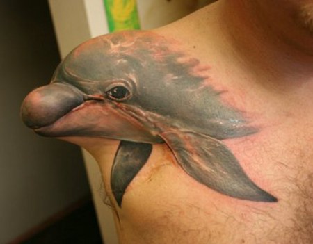 bottlenose-amputee
