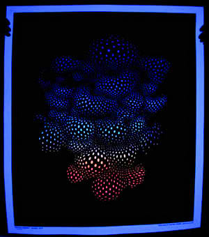 mars-1_blacklight