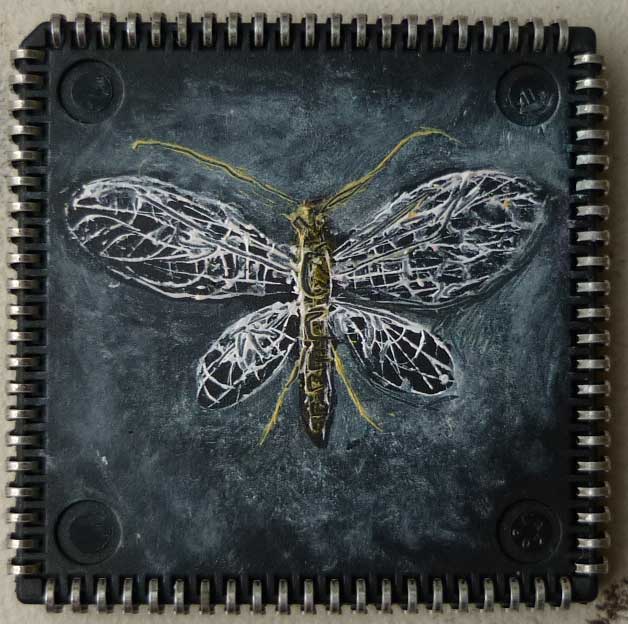 yz_Lacewing