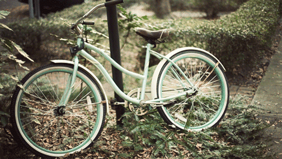 20110421_tumblr_lizhe8eu9j1qzcq51o1_500