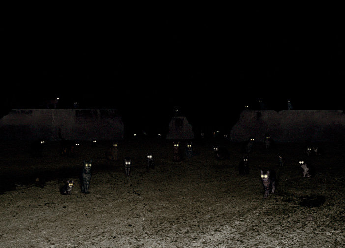andrea-galvani-8
