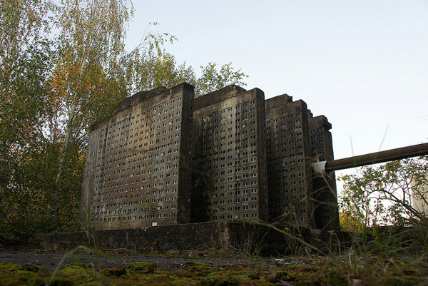 evol-1