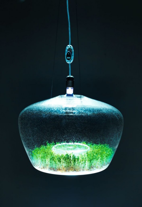 glass-1-11-600x872