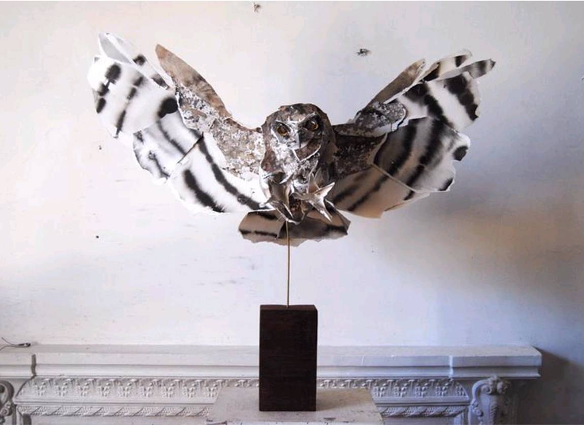 boobook-paper-art-from-www-annawilihighfield-com_