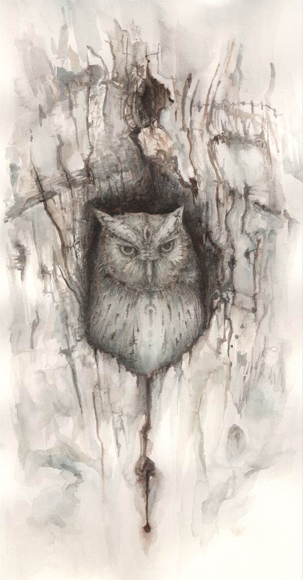 owl-600