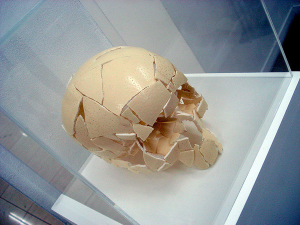 skull-2