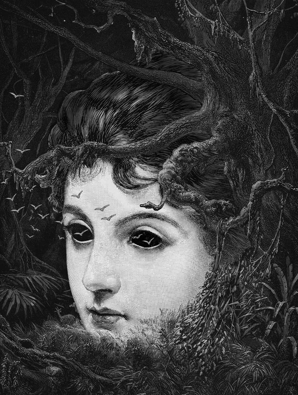 DanHillier_Forest