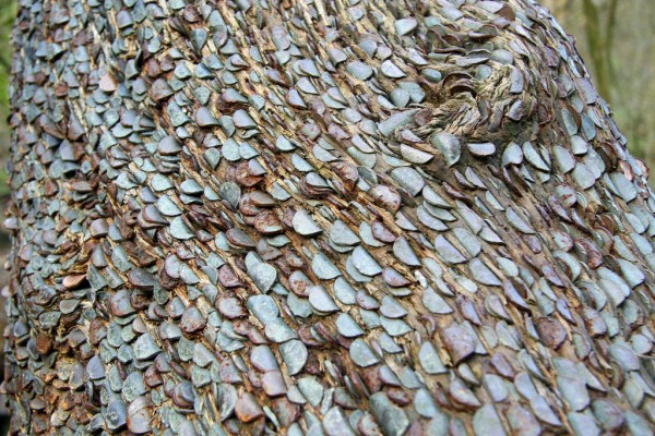 money-3-600x400