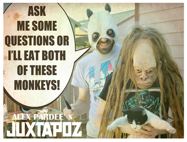 JuxQuestions2