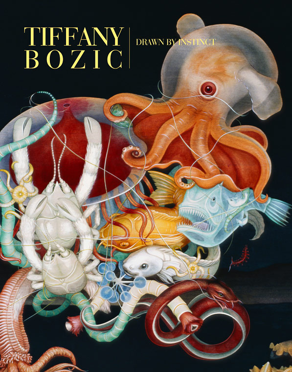 Tboz