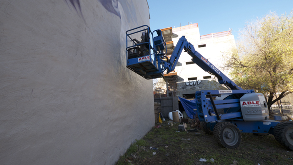 wall_to_wall_brooklyn001