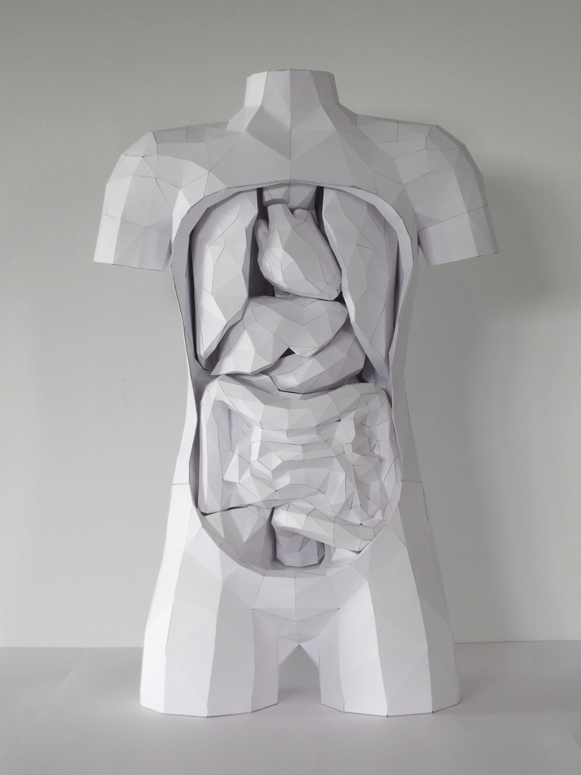 torso03
