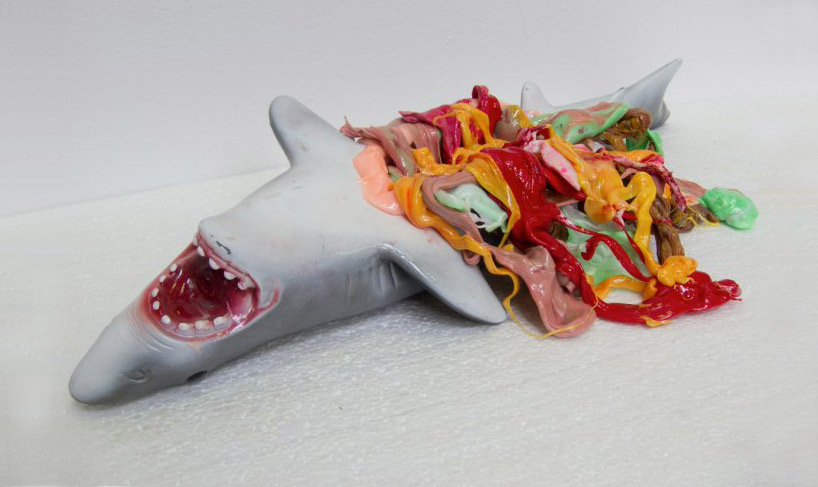 shark