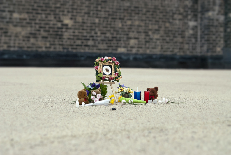 bug_memorial_1_sm_900