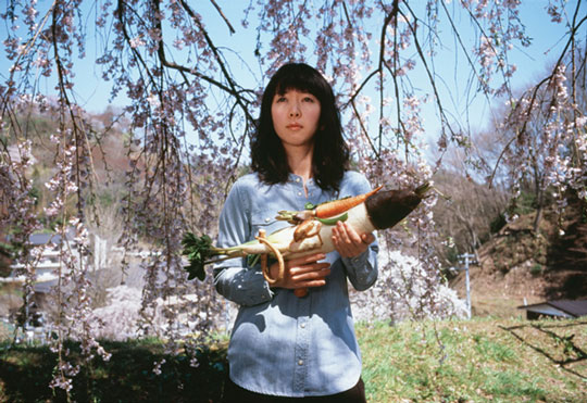 ozawa-tsuyoshi-vegetable-weapons-1
