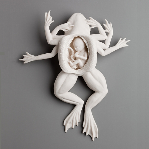 Kate-Macdowell_4