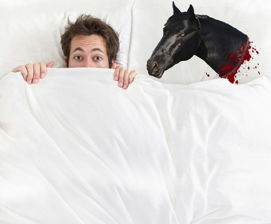 Horse-Head-Pillow-Case-550x455