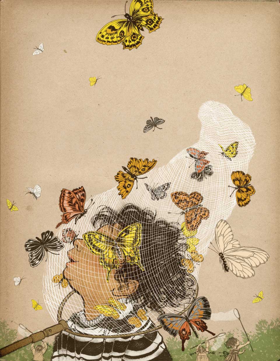 butterfly_hunting