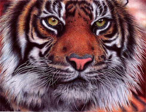 samuel-silva-ballpoint-pen-drawing-4